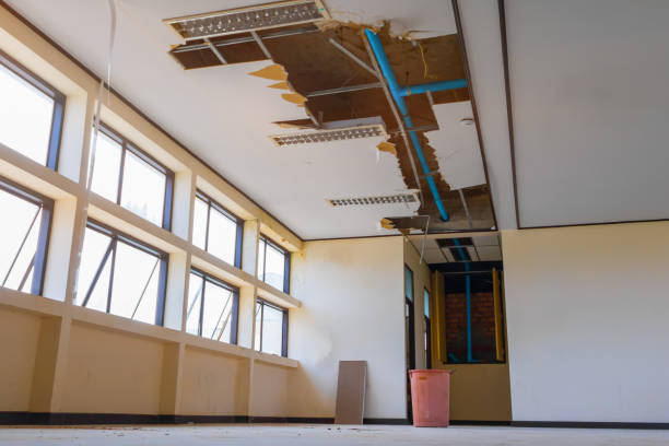 Best Water damage restoration process  in Tamarac, FL