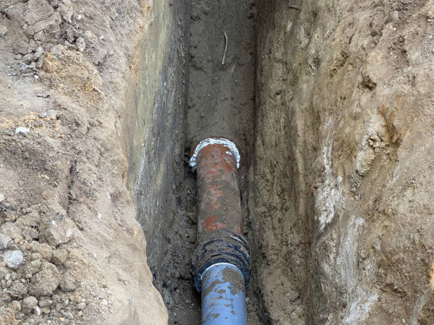 Best Flood damage cleanup  in Tamarac, FL