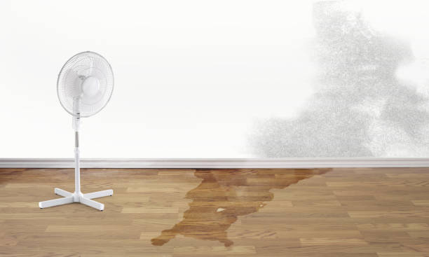 Best Flooded house restoration  in Tamarac, FL