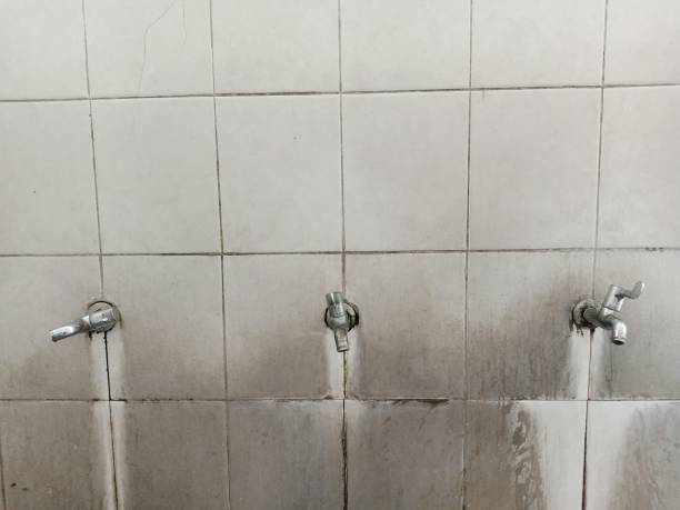 Best Professional water damage repair  in Tamarac, FL