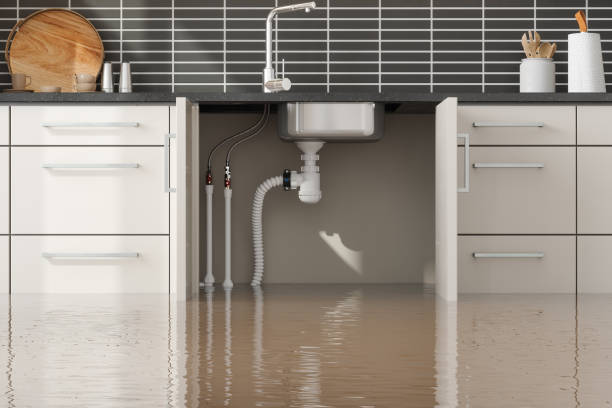 Water damage restoration insurance claims in FL