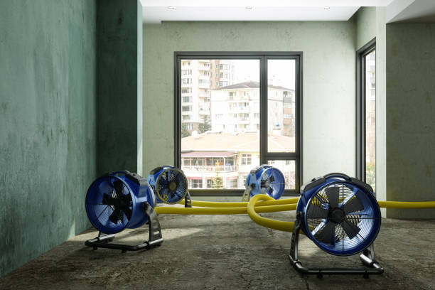 Best Basement water damage restoration  in Tamarac, FL
